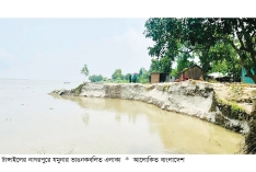নাগরপুরে যমুনার ভয়াবহ ভাঙন, অর্ধশত স্থাপনা বিলীন  