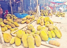 কারওয়ান বাজারে পাইকারী আড়তে মৌসুমী ফলের সয়লাব  