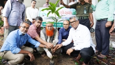 সবুজায়নে চুয়েটে বৃক্ষরোপণ কর্মসূচি-২০২৬ শুরু