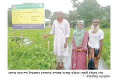 বোম্বাই মরিচ চাষে কৃষকের ভাগ্যবদল  
