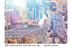 মাছ-মুরগির দামে ঊর্ধ্বগতি সবজিতে কিছুটা রক্ষা  