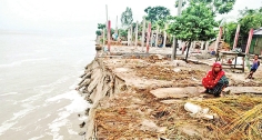 বক্ষপুত্র নদে বিলীন হয়ে যাচ্ছে বসতভিটা  