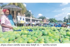 সরবরাহ কমায় আমের বাজার ঊর্ধ্বমুখী  