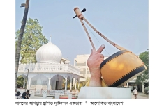 দৃষ্টি কাড়ছে লালন সাঁই চত্বরের একতারা  