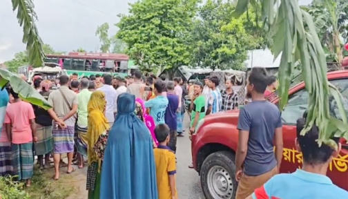 গরুবোঝাই পিকআপকে বাসের ধাক্কা, পাকুন্দিয়ায় নিহত ৩