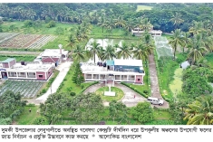 উপকূলের লবণাক্ত মাটিতে আম-পেয়ারার স্বপ্ন  