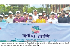 বেলাবোতে বিভিন্ন কর্মসূচির মাধ্যমে পল্লী উন্নয়ন দিবস পালিত  