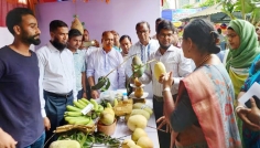 রাজবাড়ীতে ২৪ ঘণ্টায় ডেঙ্গু আক্রান্ত আরও ২, চিকিৎসাধীন ৩