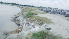 গঙ্গাচড়ায় তিস্তার আগ্রাসন, হুমকির মুখে স্বেচ্ছাশ্রমে নির্মিত দুটি বাঁধ