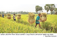 উত্তরাঞ্চলে কৃষির উন্নয়নে ৩০০০ কোটি টাকার তহবিল গঠন  