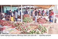 গৌরীনাথপুর বাজারে দিনে কোটি টাকার ড্রাগন বেচাকেনা  