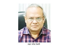 ‘বর্তমান সরকার জোর করে ক্ষমতায় আসেনি’  