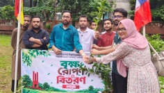 পরিবেশ সংরক্ষণে জাবিজুড়ে জাকসুর গাছ বিতরণ ও বৃক্ষরোপণ