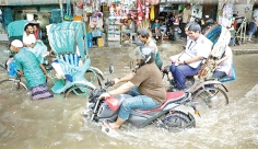 জলজট  
