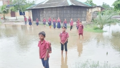টানা বৃষ্টিতে সাতক্ষীরার শিক্ষা প্রতিষ্ঠানে জলাবদ্ধতা, দুর্ভোগে শিক্ষার্থীরা