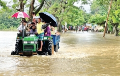 বন্যা  