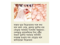 ব্রয়লার মুরগি ও ফার্মের ডিমের দাম বেড়েছে  