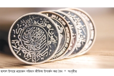 উপার্জনের রূপরেখা  