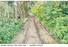 চন্দনাইশে সড়কের বেহাল দশা  