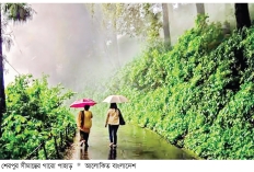 বর্ষায় অপরূপ শেরপুরের গারো পাহাড়  