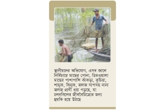 চলনবিলের দেশীয় মৎস্যসম্পদ হুমকির মুখে, চলছে পোনা নিধন  