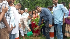 আলমডাঙ্গায় জেলা পরিষদ প্রশাসকের বৃক্ষরোপণ কর্মসূচি উদ্বোধন