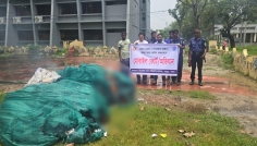 অবৈধ চায়না দুয়ারী জাল জব্দ, ভাঙ্গুড়ায় ব্যবসায়ীকে জরিমানা