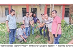 রাজবাড়ীতে বৃক্ষরোপণ কর্মসূচি  