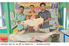 গোয়ালন্দে পদ্মার দুটি মাছ ৬৭ হাজার ৬০০ টাকায় বিক্রি  