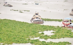 নদীর জঞ্জাল  