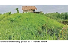 পাহাড়িদের ঐতিহ্য জুম চাষ  