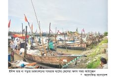 ভরা মৌসুমে মিলছে না ইলিশ  