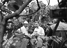 প্রধানমন্ত্রীর সবুজপ্রীতি  