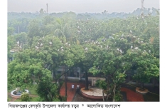 পাখির নিরাপদ আবাসস্থল ইউএনওর কার্যালয় চত্বর  