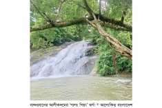 পর্যটকদের দৃষ্টি কাড়ছে আলীকদমের ‘পালং খিয়ং’ ঝর্ণা  