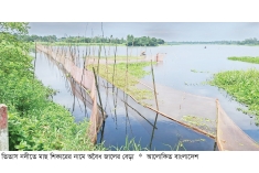 বাঞ্ছারামপুরে বাঁধ দিয়ে মাছ শিকার  