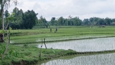 সীমান্তে অবৈধ স্থাপনা নির্মাণের চেষ্টা ব্যর্থ, সতর্ক অবস্থানে বিজিবি
