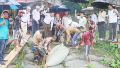 মুন্সীগঞ্জে নদীভাঙনে জিও ব্যাগ ফেললেন এমপি কামরুজ্জামান