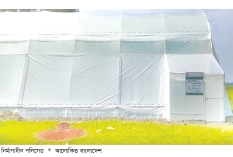 পীরগঞ্জে বিএডিসির পলিসেড নির্মাণকাজ শেষ পর্যায়ে  
