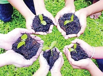 বনায়ন ও ইসলাম  
