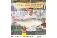 ২২ কেজির কাতল ৫০ হাজার টাকায় বিক্রি  