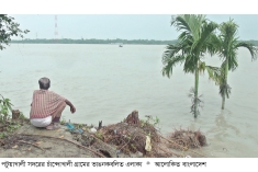 পায়রা নদীর ভাঙনে বিলীনের পথে জনপদ  