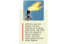 জ্বালানি নিরাপত্তায় দেশীয় উৎসে নজর সরকারের, সক্ষমতা কতটা  