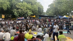 মোদির আলোচনার প্রস্তাব প্রত্যাখ্যান করলো ককরোচ জনতা পার্টি