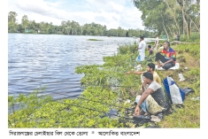 সিরাজগঞ্জে ছিপ দিয়ে মাছ ধরার হিড়িক  
