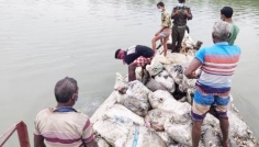 সুন্দরবনের মালঞ্চ নদীতে ৭৭ বস্তা জীবিত ঝিনুক অবমুক্ত