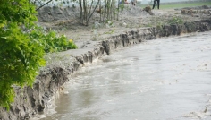 তিস্তার ভাঙনে ১১ পরিবারের ঘরবাড়ি, নদীগর্ভে ৫০ একর জমি