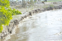 বাঁধ ভেঙে ঘরবাড়িসহ ৫০ একর জমি তিস্তায় বিলীন  