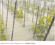 চন্দনাইশে বন্যায় ১২৮ কোটি  টাকার ক্ষয়ক্ষতি  