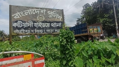কিশোরগঞ্জে পিকআপের ধাক্কায় সাইকেল আরোহী নিহত